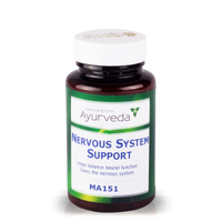 Nervous System Support