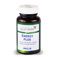 Energy Plus
