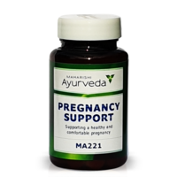 Pregnancy Support