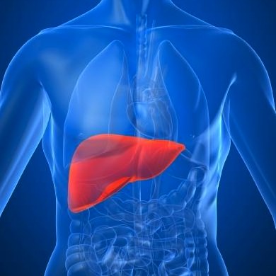How to Keep Your Liver Free from Toxins - Why it's a Must-do for Everyone!