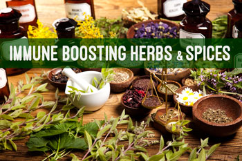Immune Boosting Herbs and Spices