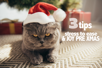 3 Tips - Stress to Ease and Joy Pre Xmas