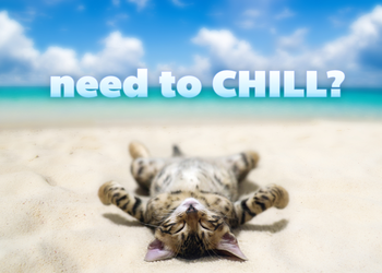 Need to chill?