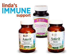 Linda’s Immune Support Programme