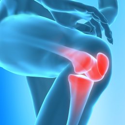 The Ayurvedic Approach to Healthy Joints (part 1)