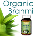 Brahmi - Brain Power For Deadlines