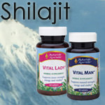 Shilajit – Himalayan Mineral Masterpiece